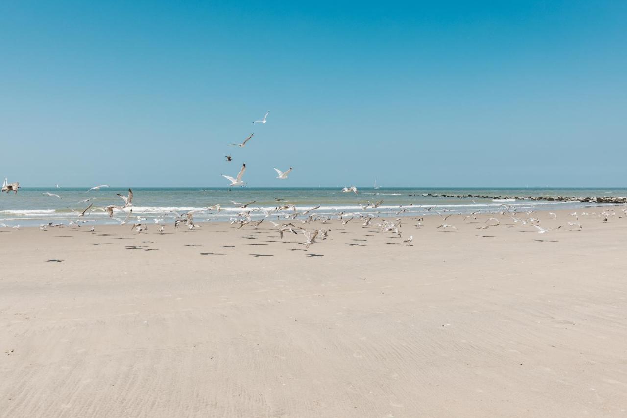 شقة Molo Roof - Stylish Penthouse With Marina View Blankenberge Within Walking Distance From The Sea - 15 Km From Bruges المظهر الخارجي الصورة